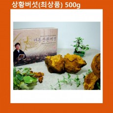 상황버섯 최상품 500g