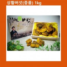 상황버섯 중품 1kg